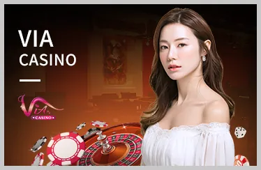 Giấy phép hoạt động C168